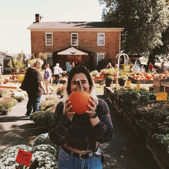 Meet your Posher, Heily - Picture 3 of 6